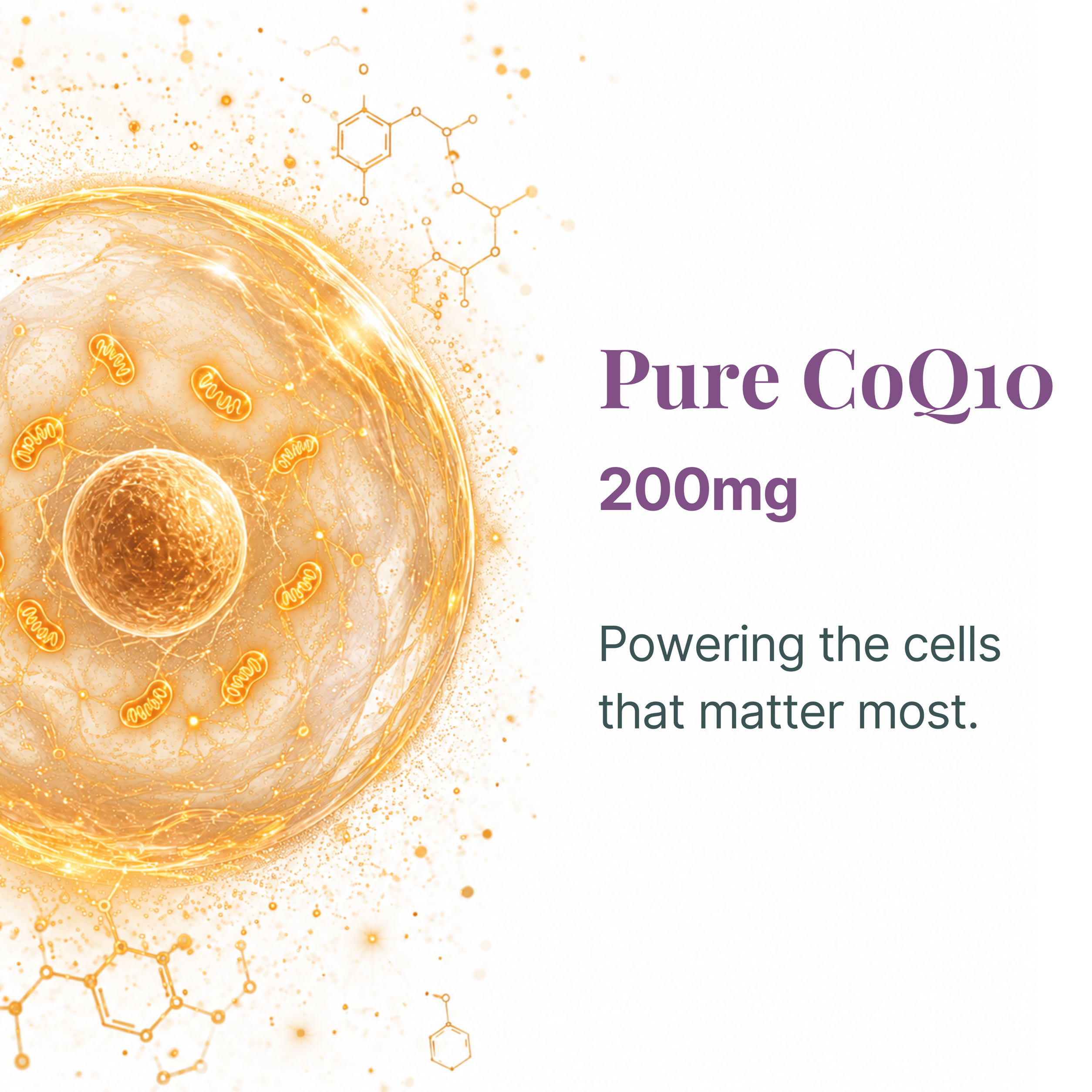 Fertility Focus - 200mg CoQ10 + 533µg Active 5-MTHF Folate