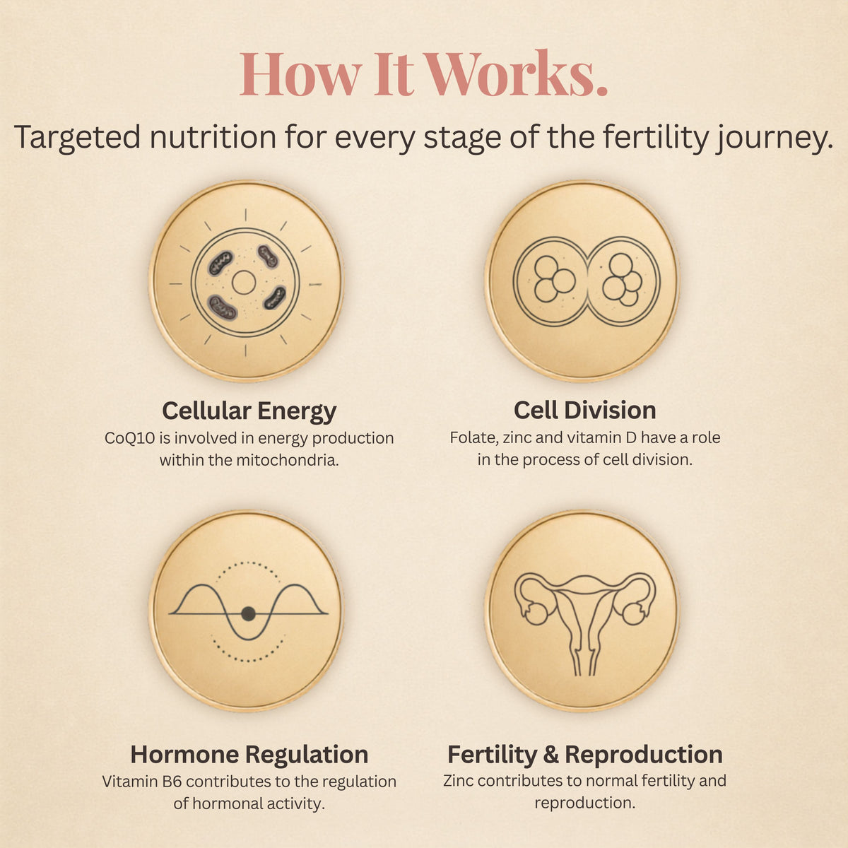 Fertility Advance