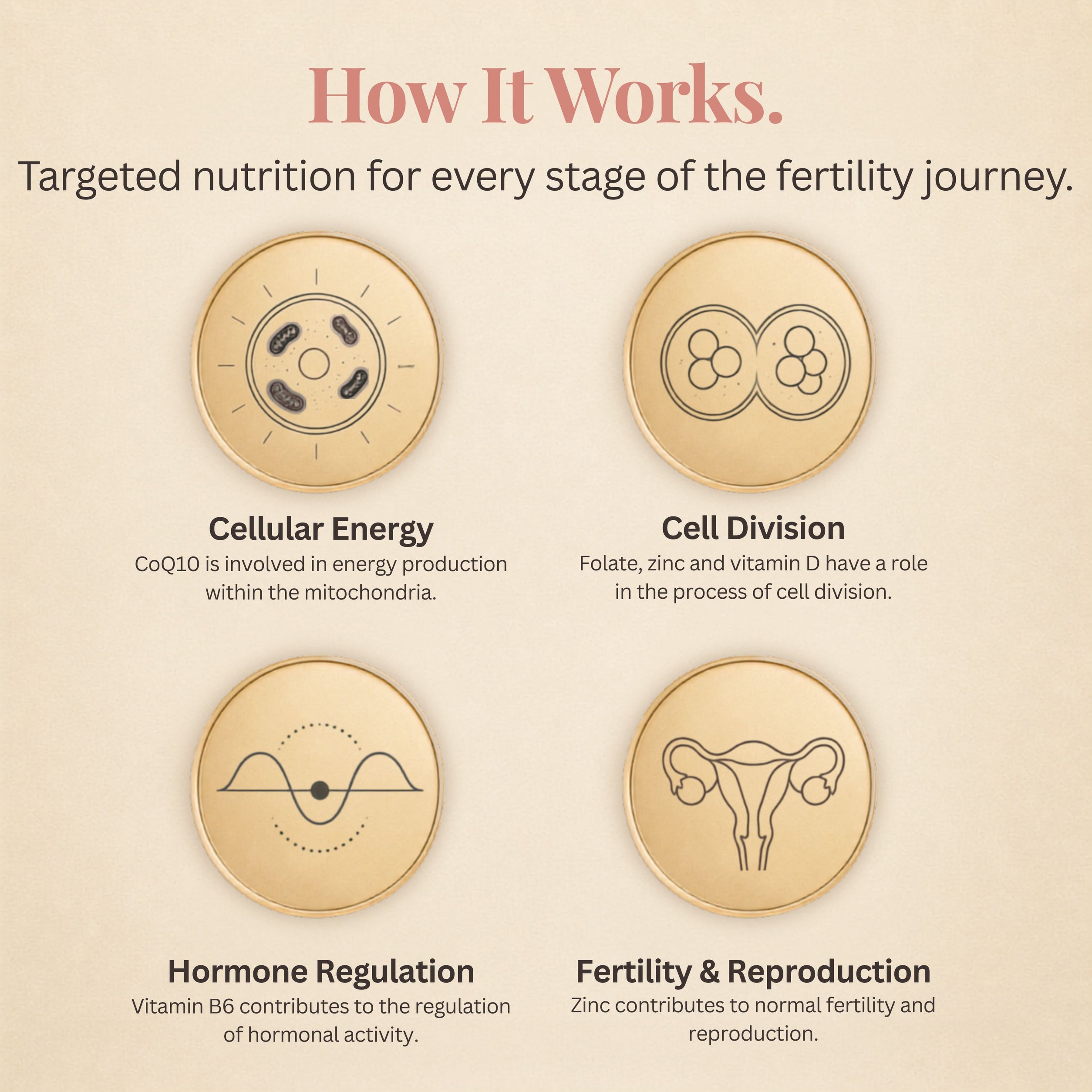 Fertility Advance - 300mg CoQ10 + 800µg Active 5-MTHF Folate