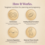 Fertility Focus - 200mg CoQ10 + 533µg Active 5-MTHF Folate