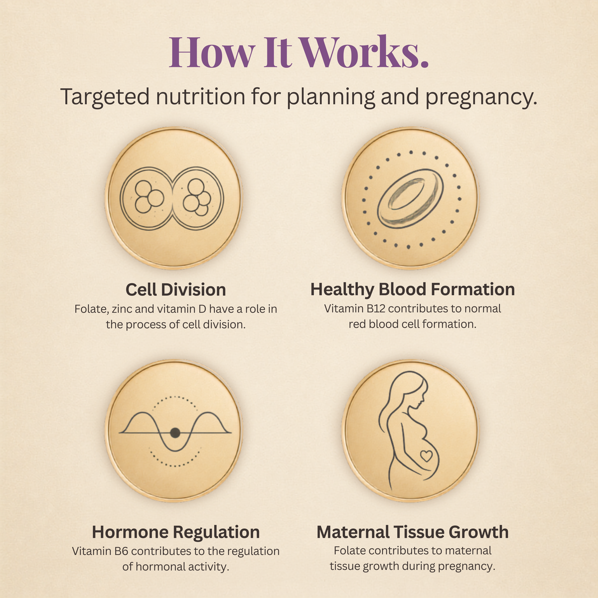 Fertility Focus