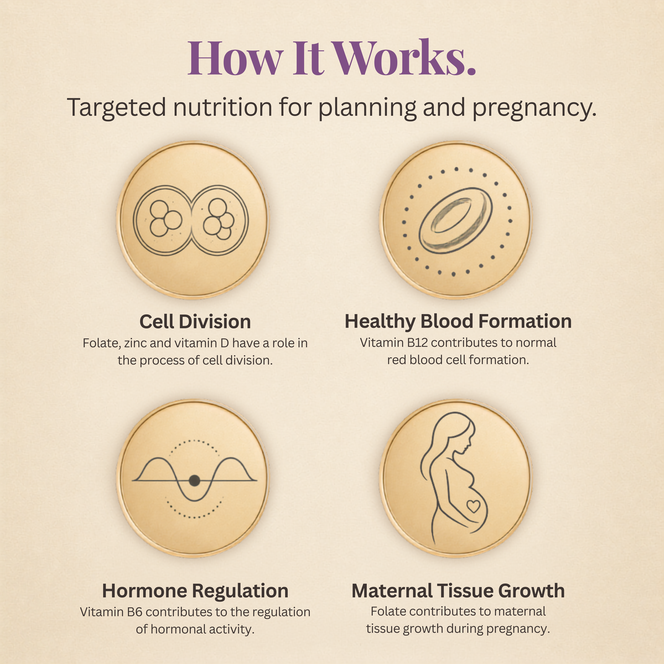 Fertility Focus - 200mg CoQ10 + 533µg Active 5-MTHF Folate