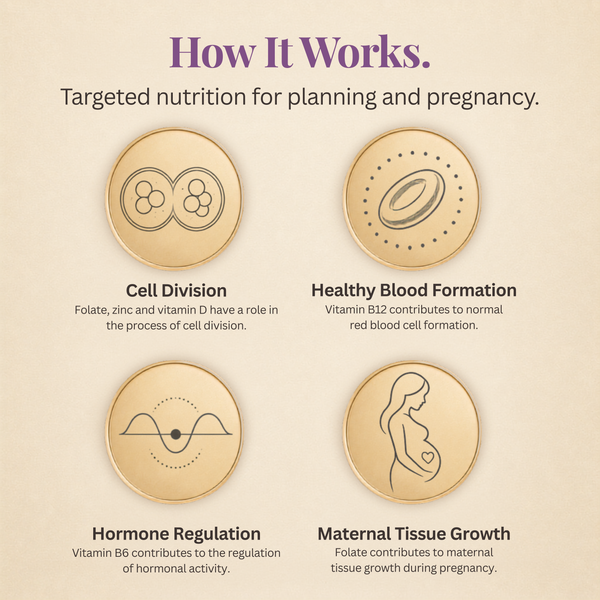 Fertility Focus - 200mg CoQ10 + 533µg Active 5-MTHF Folate