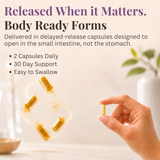 Fertility Focus - 200mg CoQ10 + 533µg Active 5-MTHF Folate
